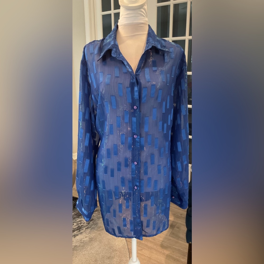 Notations Woman Vintage Y2K Blue Sheer Burnout Blouse - Shimmer Stripe - 1X